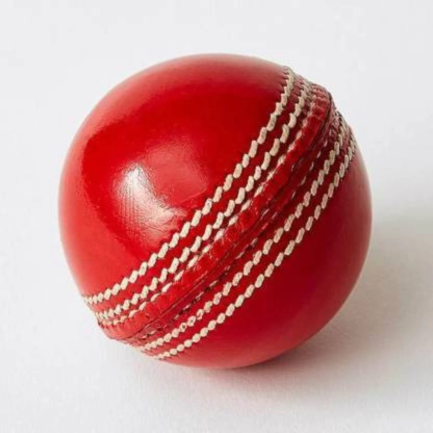 Leather Cricket Balls