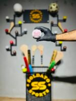 professional regulation baseball